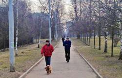Četri noteikumi suņu pastaigāšanai Maskavā - Rostislavv