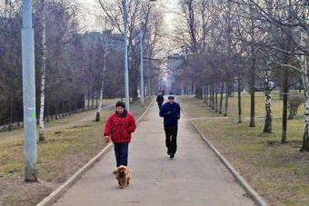 Četri noteikumi suņu pastaigāšanai Maskavā - Rostislavv